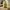 Baner promocyjny
