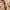 Baner promocyjny